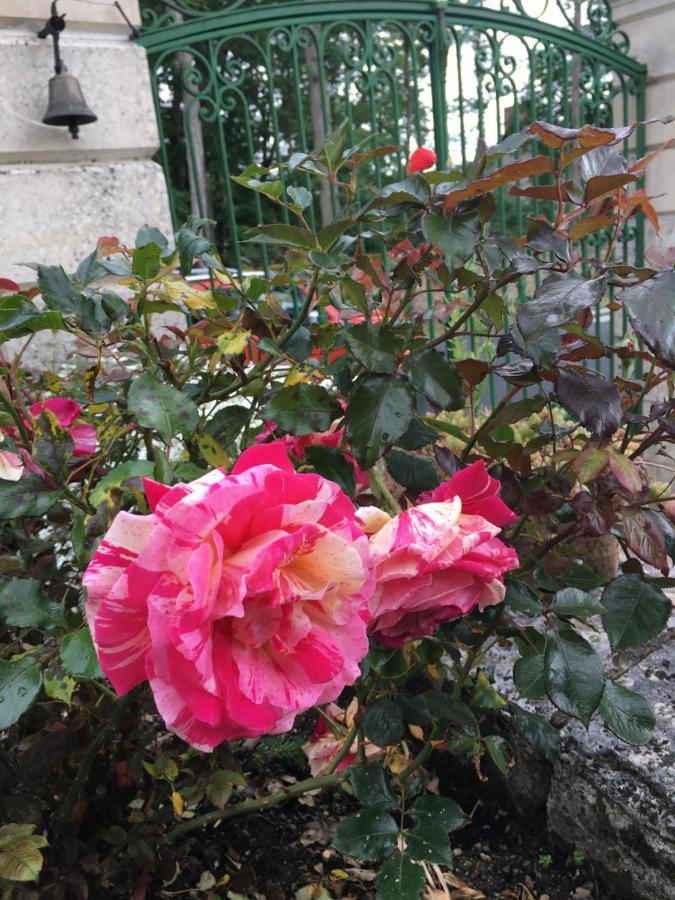 La Valiniere Bed and Breakfast Seur Εξωτερικό φωτογραφία